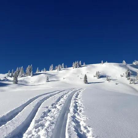 Hotel Kreuzeck - Dein Gluecksplatz Am Lech *